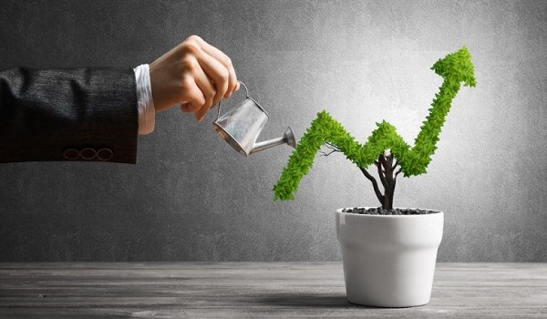 Birla Courtyard Investment